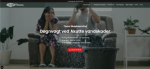 Skærmbillede 2025-01-12 132825