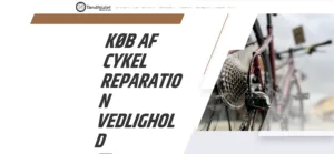 Skærmbillede 2025-01-12 134214